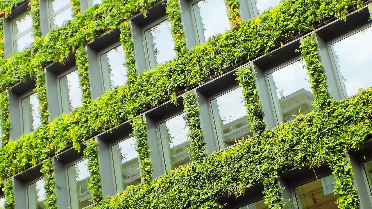 Blick auf eine begrünte Häuserfassade eines Hochhauses